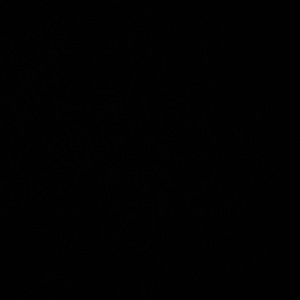 Meet your Posher, Jarriah